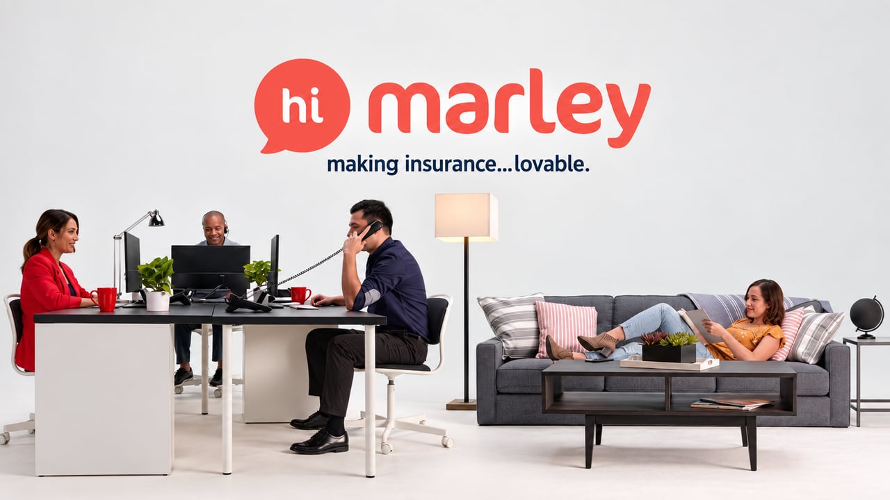 Video thumbnail for Hi Marley | Commercial